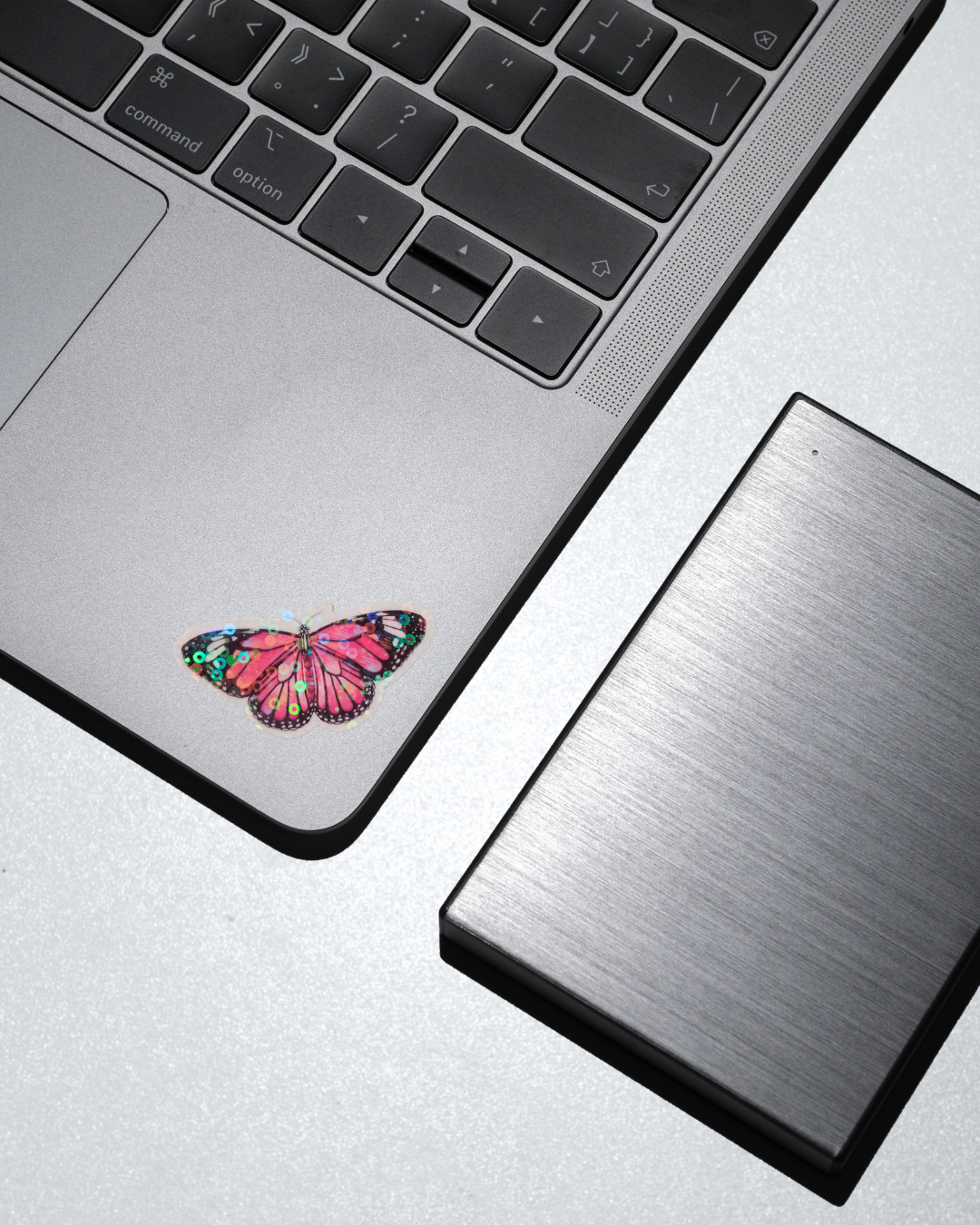 Pink Butterfly