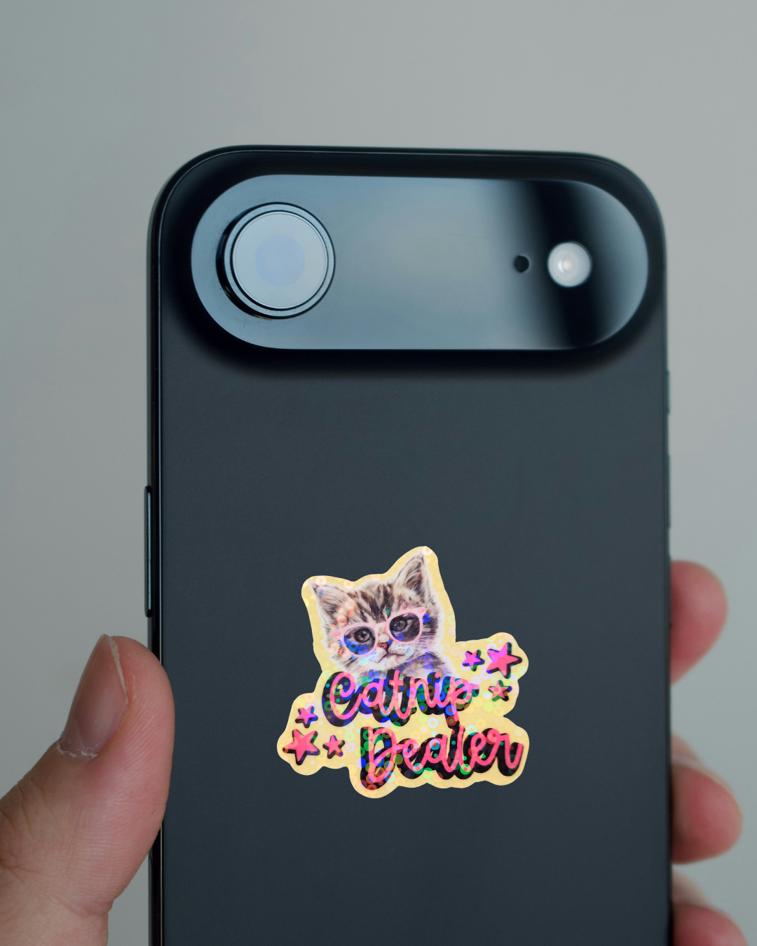 Catnip Dealer